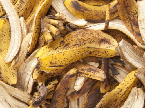 Skórki z banana - naturalny nawóz do każdego ogrodu