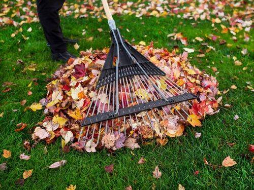 Wskazówki dotyczące udanych jesiennych porządków