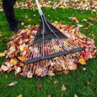 Wskazówki dotyczące udanych jesiennych porządków